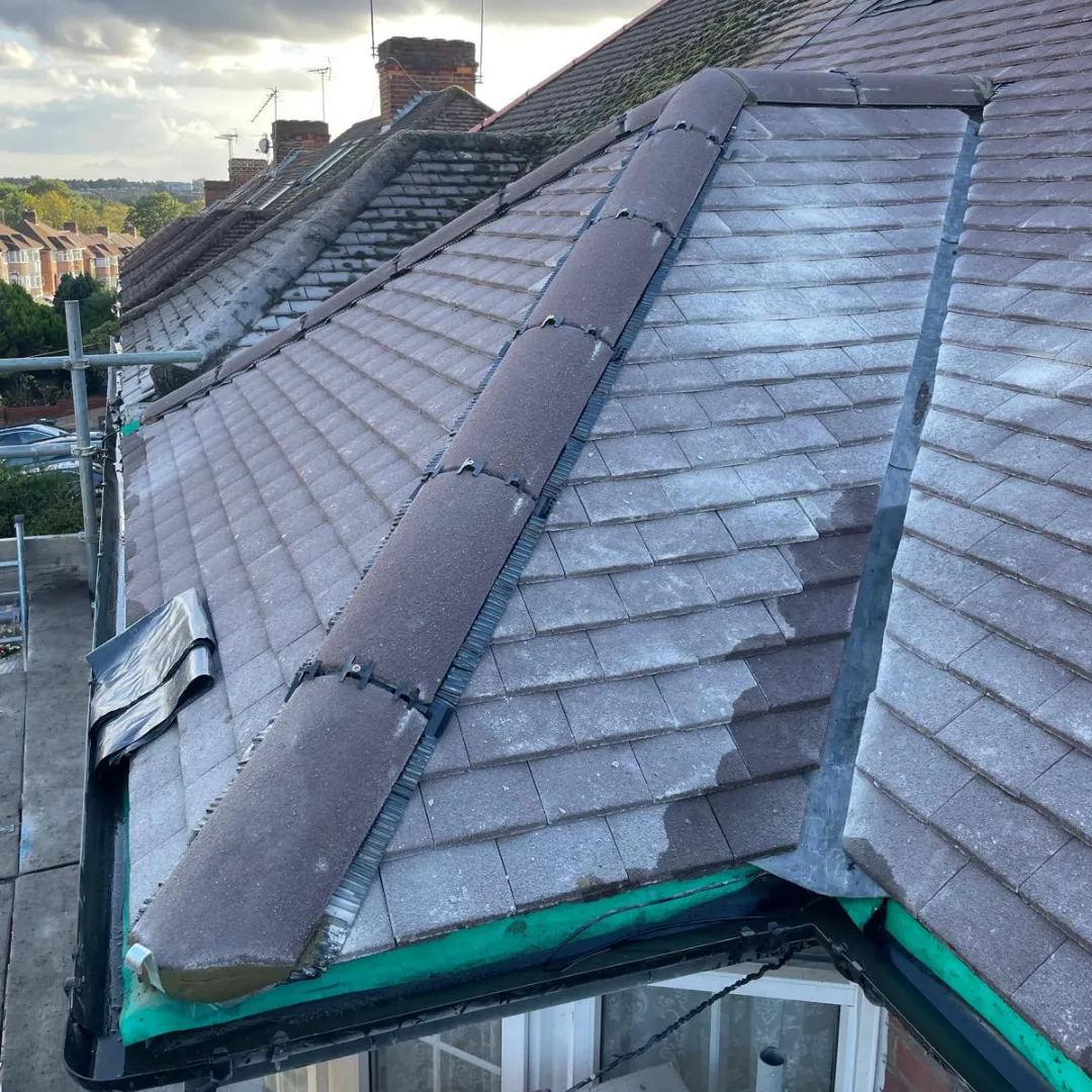 Recent roof project