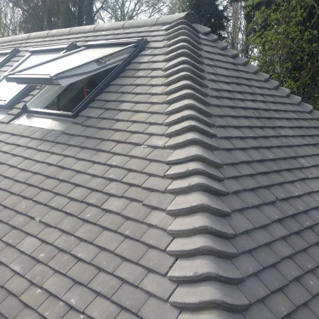Recent roof project