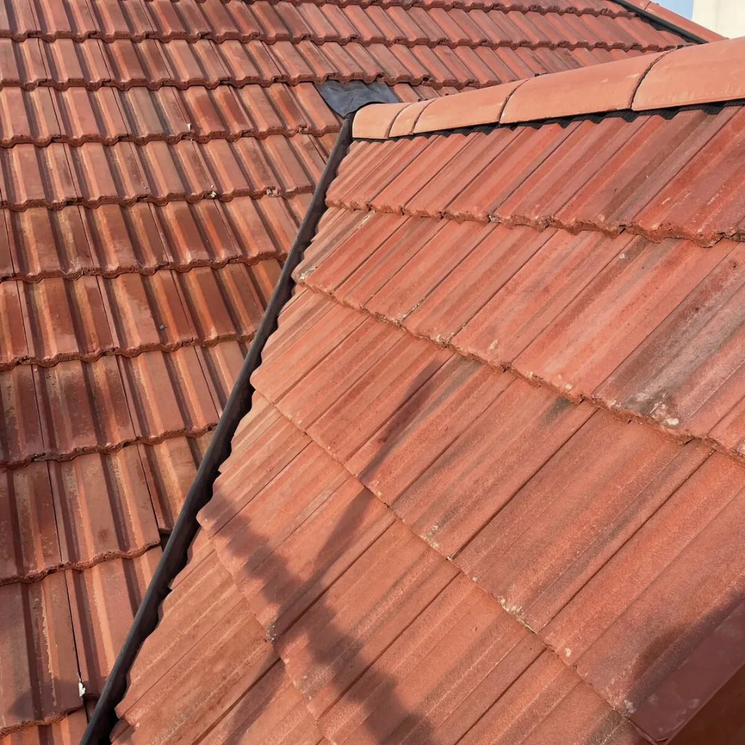 Recent roof project